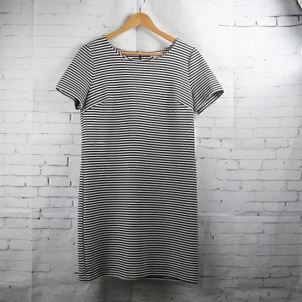 SPLENDID BLACK & WHITE STRIPE SHORT SLEEVE ROUND NECK OFFICE SHIFT DRESS SIZE M